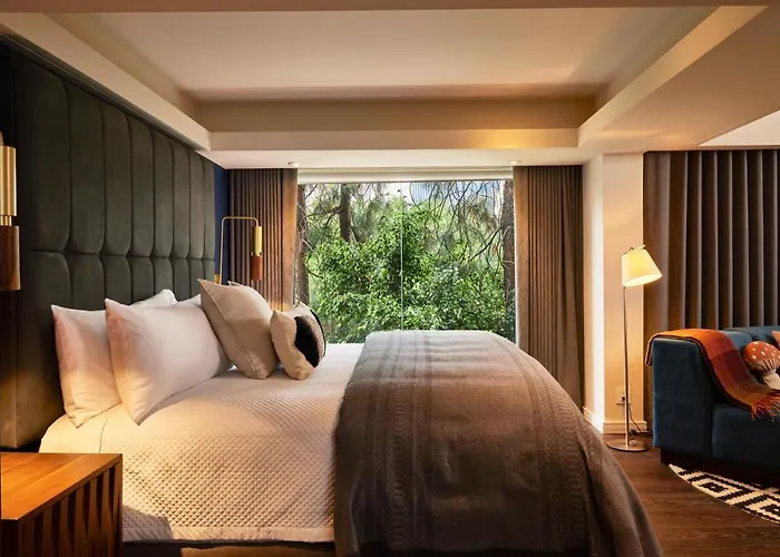 Hotel Campos Polanco