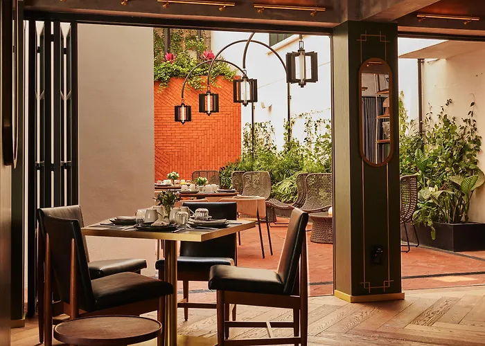 Campos Polanco