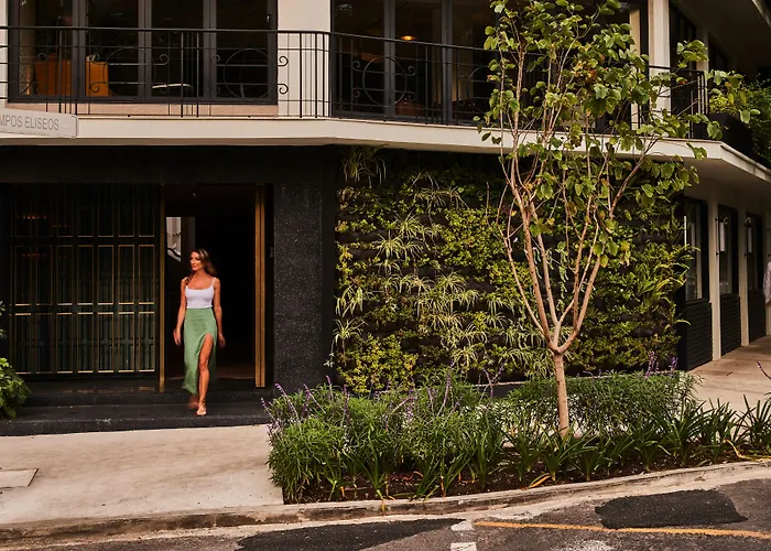 Campos Polanco
