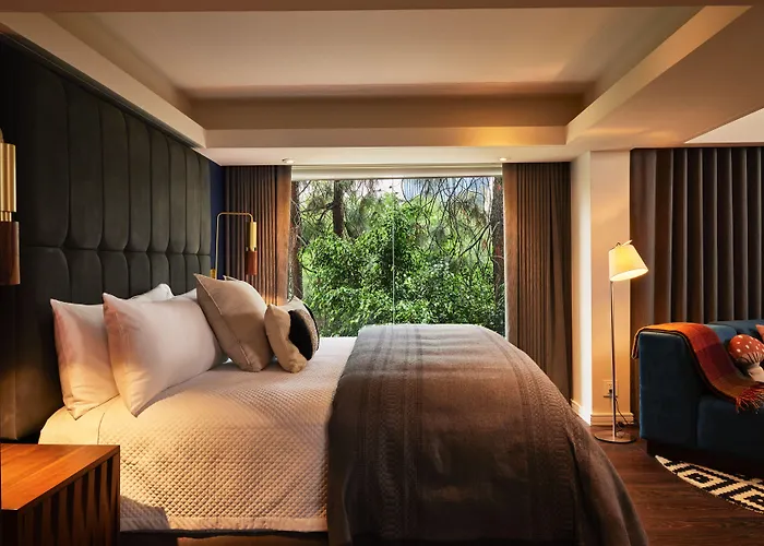 Hotel Campos Polanco Città del Messico